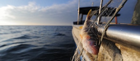 Der Förderverein Fischereimuseum e.V. erhält 4.000 EURO für die Ausstattung des neuen Museums in den Räumen der ehemaligen See-Apotheke.